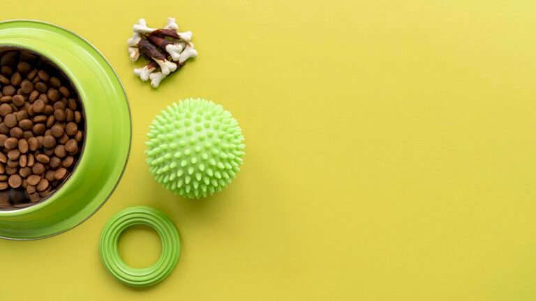 Potinho de ração, bolinha e outros brinquedos para pets na cor verde para representar a sustentabilidade no mundo pet