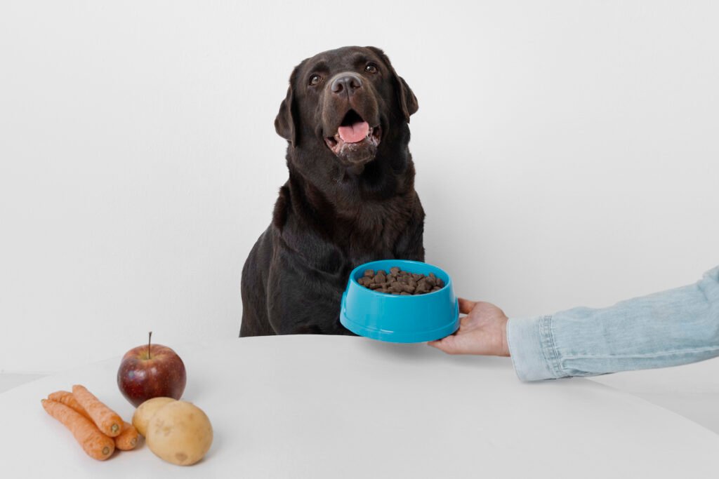Alimentação personalizada para pets